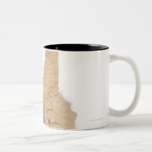 Perzisch spelen (3 jaar oud) tweekleurige koffiemok