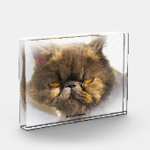 Perzische Kat Fotoblokken (Links)