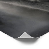 Perzische Kat Huisdier Elegant Dramatisch Portret Poster (Hoek)