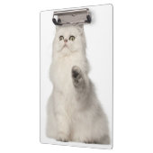 Perzische kat klembord (Links)