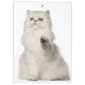 Perzische kat klembord (Achterkant)