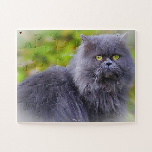 Perzische Kat Legpuzzel (Horizontaal)