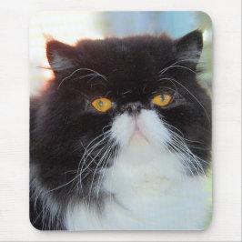 Perzische kat Mousepad Muismat
