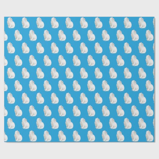 Perzische kat op Aqua Cadeaupapier (Vlak)