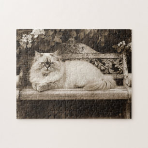 Perzische kat op een tuinbank legpuzzel