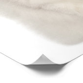 Perzische kat zittend poster (Hoek)