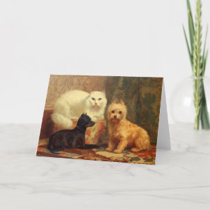 Perzische katten en honden Wenskaart Kaart
