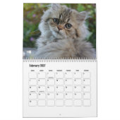 Perzische kattenkalender kalender (Feb 2027)