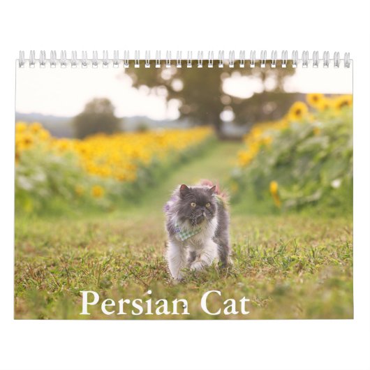 Perzische kattenkalender kalender (Hoes)