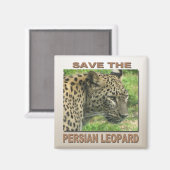 Perzische luipaard magneet (Voorkant / Achterkant)