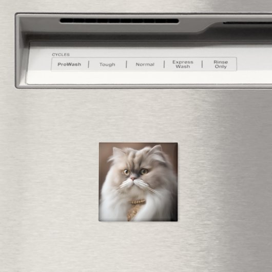 Perzische schoonheid kat magneet (Insitu (Vaatwasser))