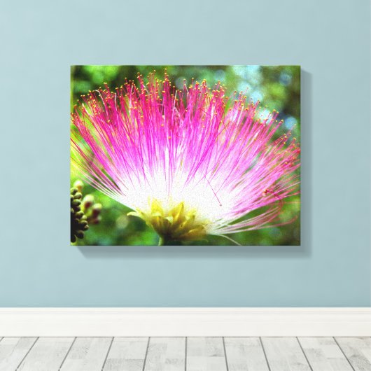 Perzische Zijde Boom Bloem Canvas Print (Insitu (Houten vloer))