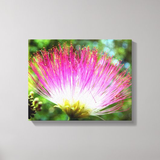 Perzische Zijde Boom Bloem Canvas Print (Voorkant)