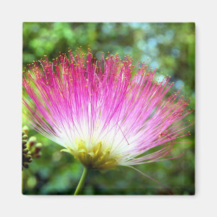 Perzische zijde boom bloem magneet