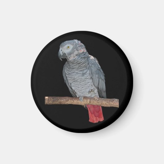 Pesky Parrot Magnet Magneet (Voorkant)