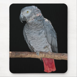 Pesky Parrot Tapis de souris