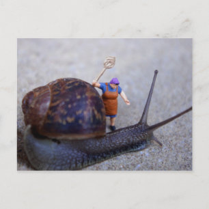 Pest Control Briefkaart