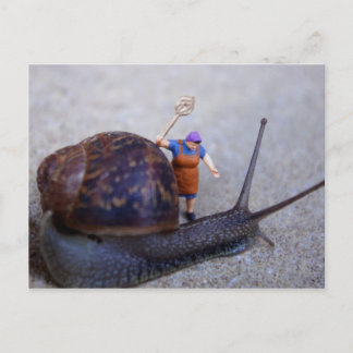 Pest Control Briefkaart