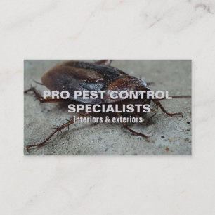 Pest Control Service Foto Visitekaartje