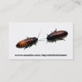 Pest Control Visitekaartjes (Achterkant)