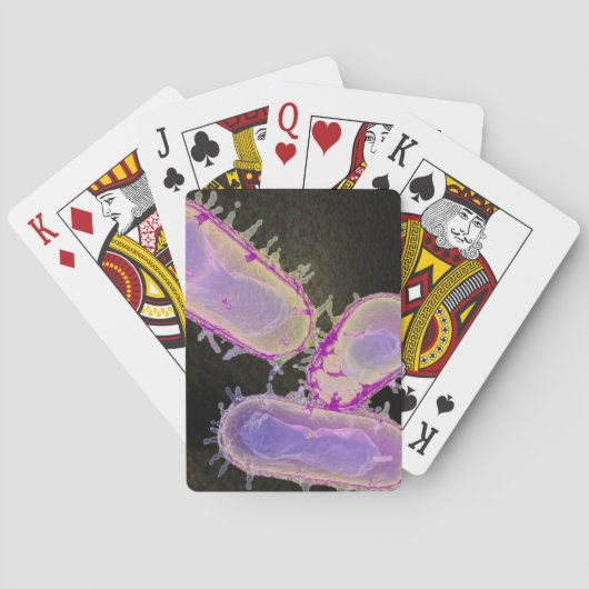 Peste bubonique Cartes à jouer (dos)
