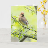 Pestvogel Kaart (Gele Bloem)