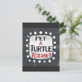 Pet A Turtle Today Carte Postale (Debout devant)