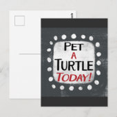 Pet A Turtle Today Carte Postale (Devant / Derrière)