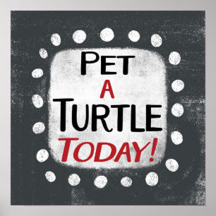 Pet a Turtle Today Poster Muurkunst