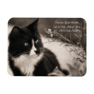 Pet Adoption redt je hart en neemt een kat aan Magneet