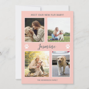 Pet Announge New Fur Baby Photo Blush Pink Aankondiging