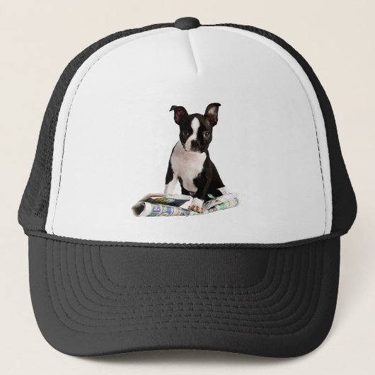 Pet Boston Terrier (Voorkant)