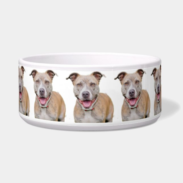 Pet Bowl/Pitbull Voerbakje (Voorkant)