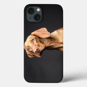 Pet Brown Beagle Dog iPhone 13 Hoesje