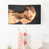 Pet Brown Beagle Dog Spandoek (Insitu)