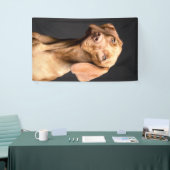 Pet Brown Beagle Dog Spandoek (Beurs)