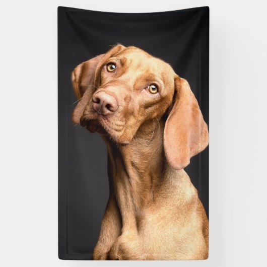 Pet Brown Beagle Dog Spandoek (Verticaal)