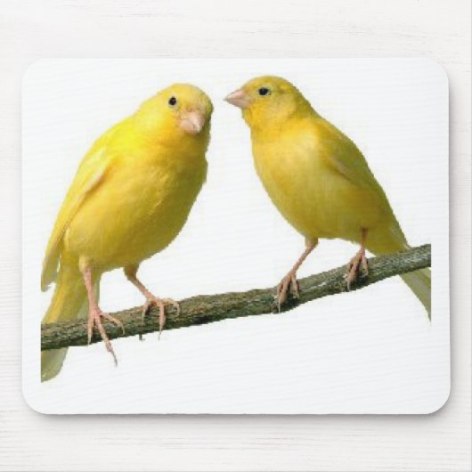 Pet Canary Bird Merchandise Muismat (Voorkant)