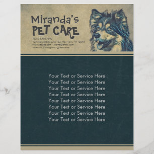 Pet Care Sitting Schattige tekenfilm Illustratie Flyer