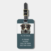 Pet carrier scan als verloren QR code telefoon naa Bagagelabel (Voorkant verticaal)