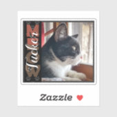 Pet Cat aangepaste naam en foto Sticker (Vel)