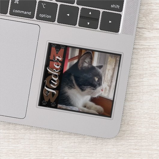 Pet Cat aangepaste naam en foto Sticker (Detail)
