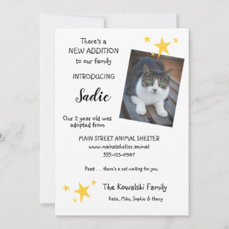 Pet Cat Adoption New Pet Announcement Flat Card Aankondiging