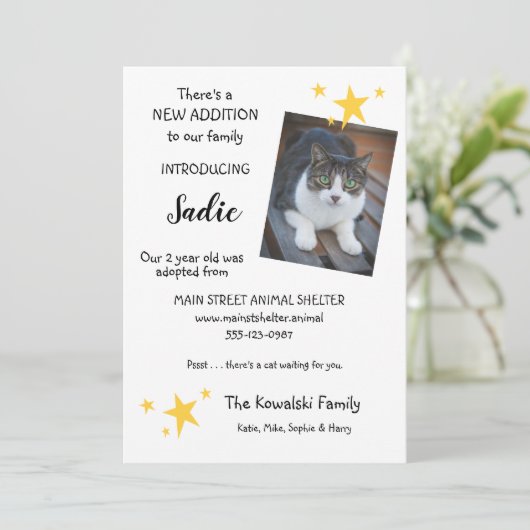 Pet Cat Adoption New Pet Faire-part Flat Card (Debout devant)