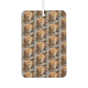 Pet Cat Dog Foto aanpassen Aangepast groot Luchtverfrisser