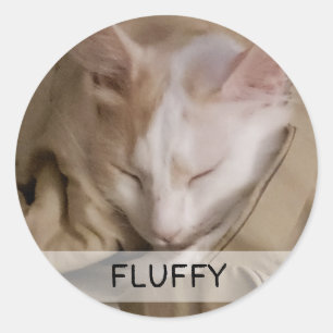 Pet Cat Dog Foto Naam Ronde Sticker