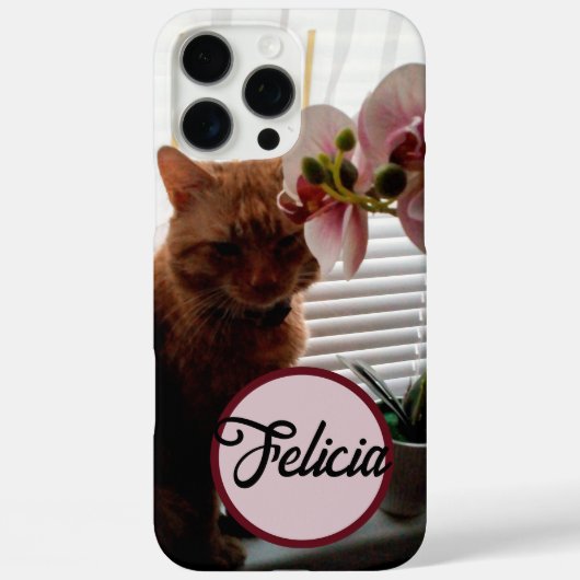 Pet Cat foto en aangepaste naam Case-Mate iPhone Case (Achterkant)