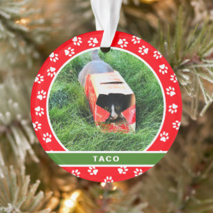 Pet Cat Foto White Paw Red Green Holiday Monogram Ornament