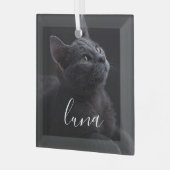 Pet Cat Fotonaam Glas Ornament (Voorkant links)
