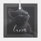Pet Cat Fotonaam Glas Ornament (Voorkant)